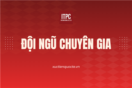 Đội ngũ chuyên gia