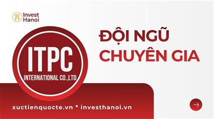 Đội ngũ chuyên gia
