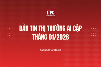 Bản tin thị trường Ai Cập tháng 01 năm 2026