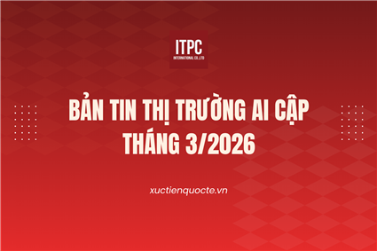 BẢN TIN THỊ TRƯỜNG AI CẬP THÁNG 3 NĂM 2026