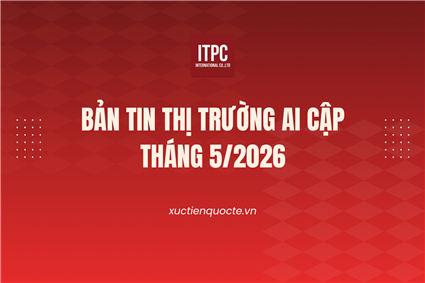 BẢN TIN THỊ TRƯỜNG AI CẬP THÁNG 5 NĂM 2026