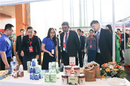 Bình Định tổ chức Hội nghị thúc đẩy đầu tư, phát triển thương mại, du lịch với các đối tác Ấn Độ