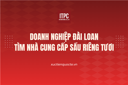 Doanh nghiệp Đài Loan tìm nhà cung cấp sầu riêng tươi
