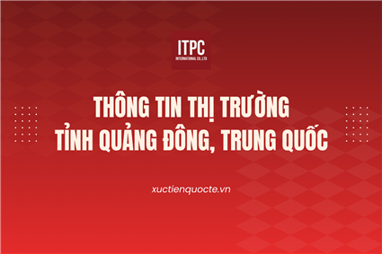 Thông tin thị trường tỉnh Quảng Đông, Trung Quốc